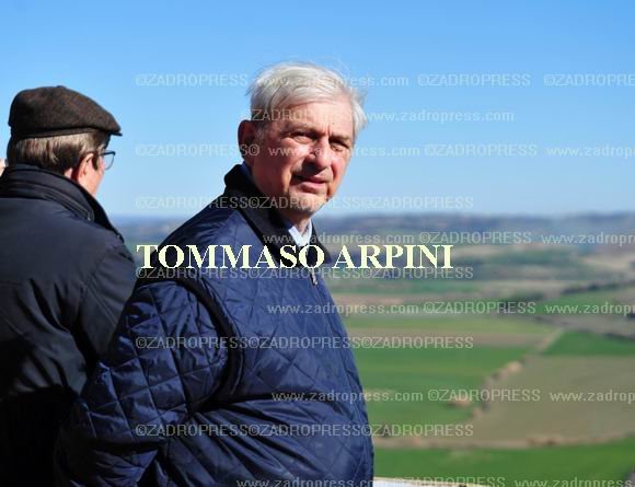 ARPINI TOMMASO 2